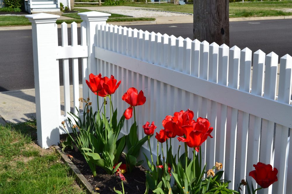 fence repair near me
